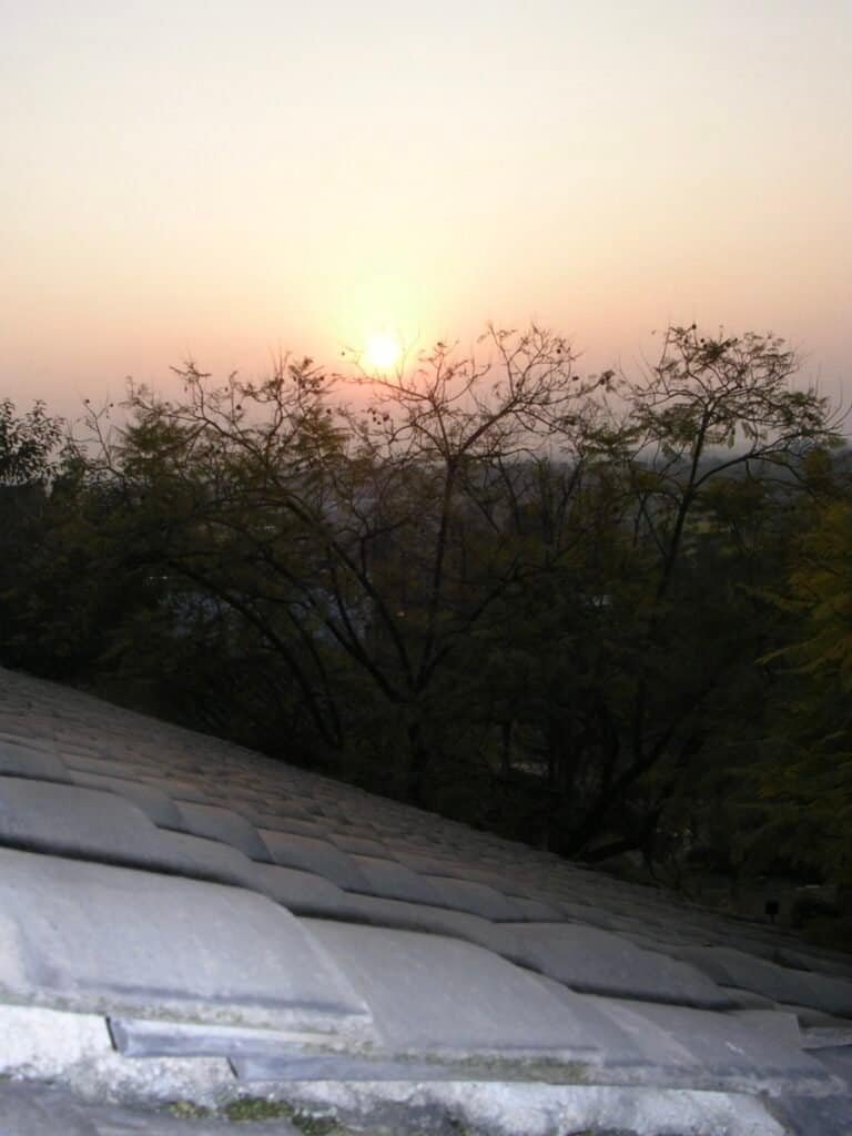 Sunset over leafless trees with the sun setting in the background creating a peaceful and natural chengdu mountains china Nikon coolpix 3200
