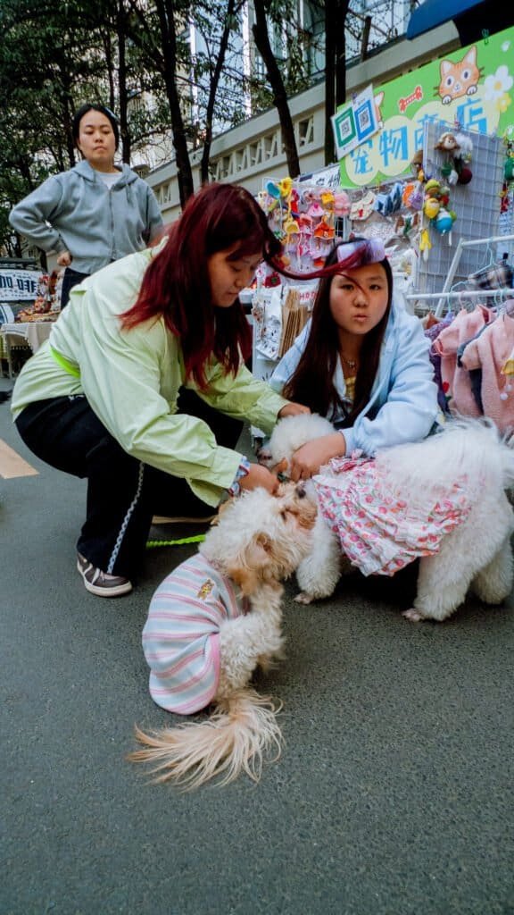 Girls and dogs Chengdu street market dogs girls street daytime china